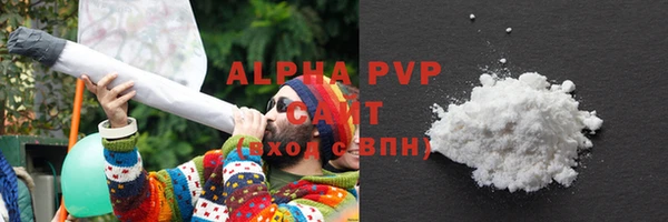 spice Богородицк