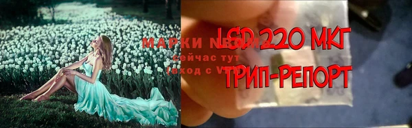 spice Бугульма