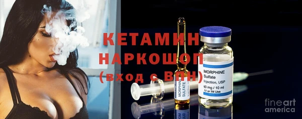 spice Богородицк