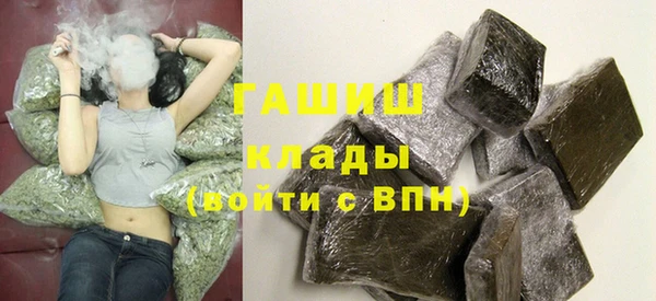spice Богородицк