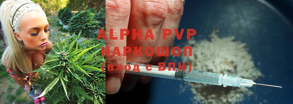 мдпв Богородск