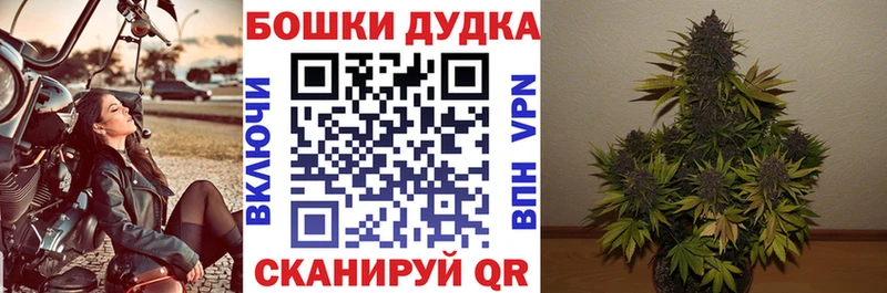 shop клад  купить наркотики цена  kraken ONION  Медвежьегорск  Каннабис планчик 